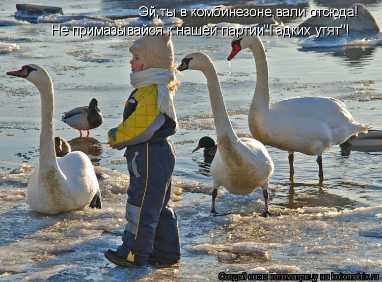 Котоматрица: Эй,ты в комбинезоне,вали отсюда! Не примазывайся к нашей партии"Гадких утят"!