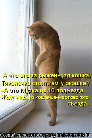 Котоматрица: А что это за рыженькая кошка, Тихонечко стоит,там у окошка? -А это Мурка из 10 подъезда Ждёт нашего кошачье-мартовского съезда.