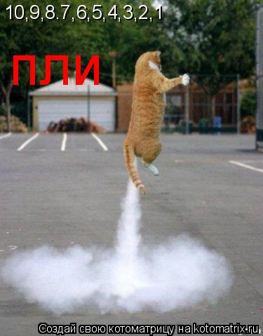 10,9,8.7,6,5,4,3,2,1 пли... Котоматрица: 10,9,8.7,6,5,4,3,2,1 пли