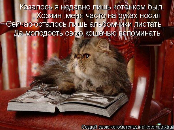 Котоматрица: Казалось я недавно лишь котёнком был, Хозяин  меня часто на руках носил Сейчас осталось лишь альбомчики листать Да молодость свою,кошачью в