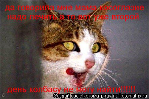 Котоматрица: да говорила мне мама косоглазие надо лечить а то вот уже второй  день колбасу не могу найти!!!!!!