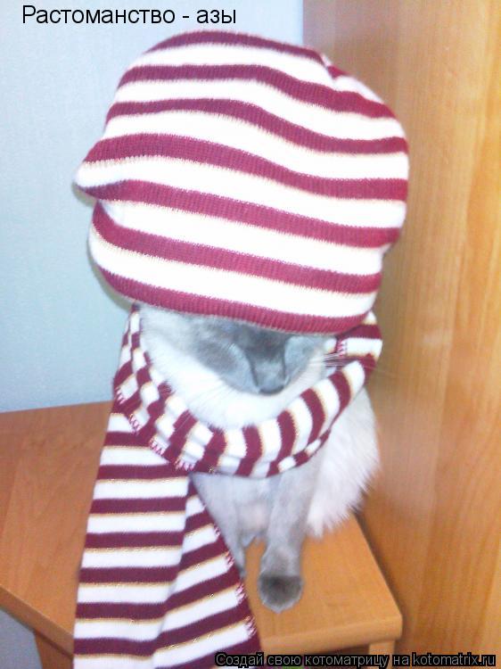 Котоматрица: Растоманство - азы