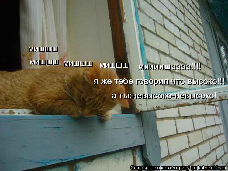 Котоматрица: мишшш мишшш мишшш мишшш