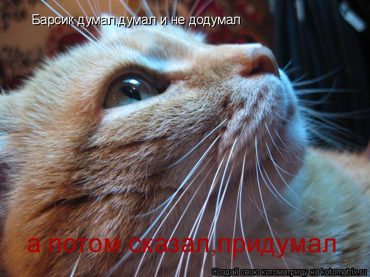 Котоматрица: Барсик думал,думал и не додумал а потом сказал,придумал