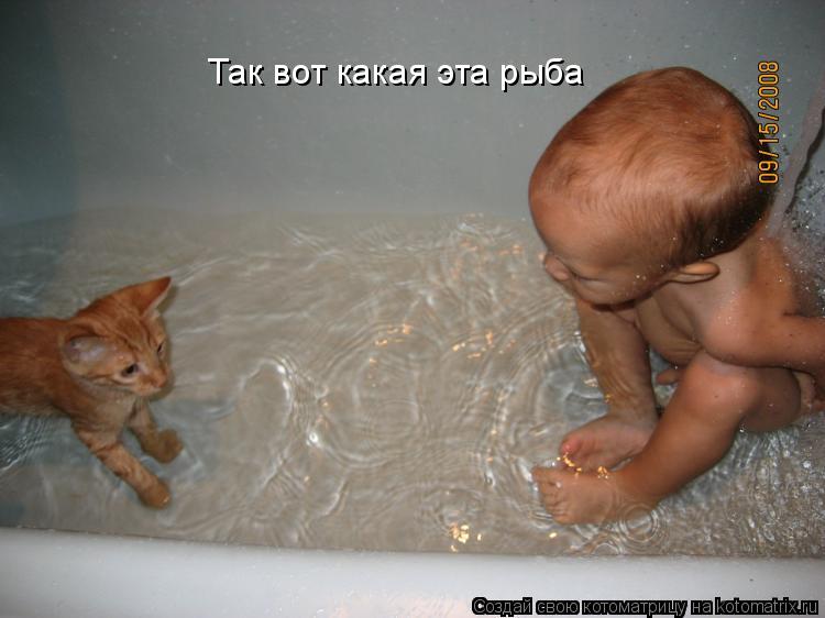 Котоматрица: Так вот какая эта рыба