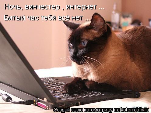 Котоматрица: Ночь, винчестер , интернет ... Битый час тебя всё нет ...