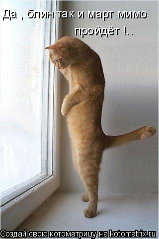 Котоматрица: Да , блин так и март мимо  пройдёт !..