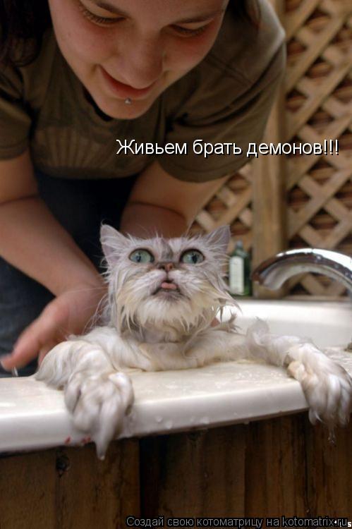 Котоматрица: Живьем брать демонов!!!