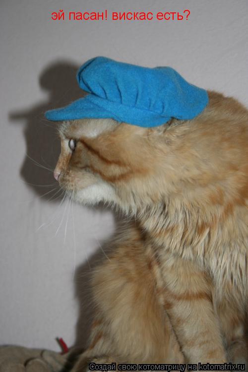 Котоматрица: эй пасан! вискас есть?