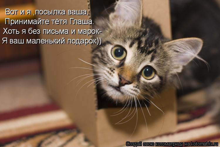 Котоматрица: Вот и я ,посылка ваша, Принимайте тётя Глаша. Хоть я без письма и марок- Я ваш маленький подарок))