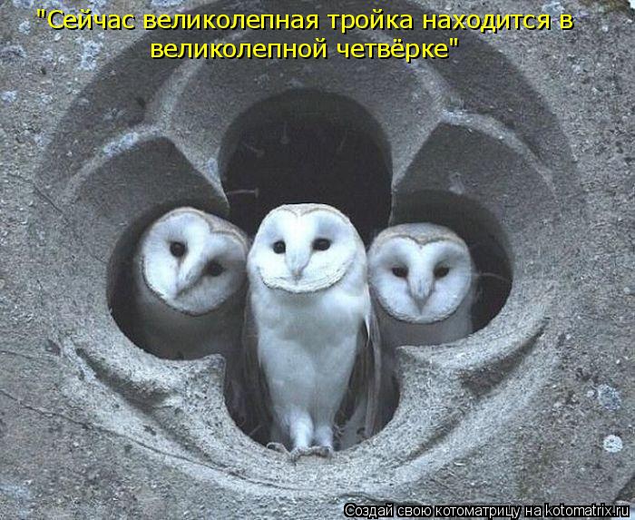 "Сейчас великолепная тройка находится в великолепной четвёрке"... Котоматрица: "Сейчас великолепная тройка находится в великолепной четвёрке"