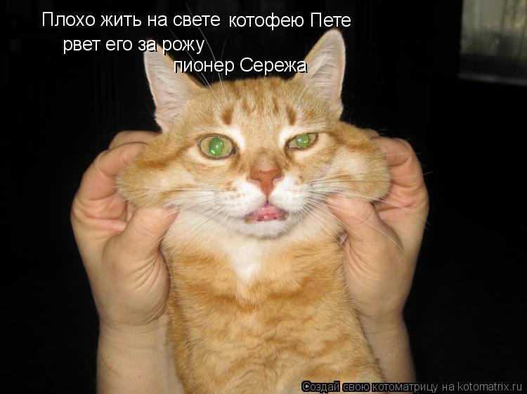 Плохо жить на свете рвет его за рожу пионер Сережа котофею Пете... Котоматрица: Плохо жить на свете рвет его за рожу пионер Сережа котофею Пете