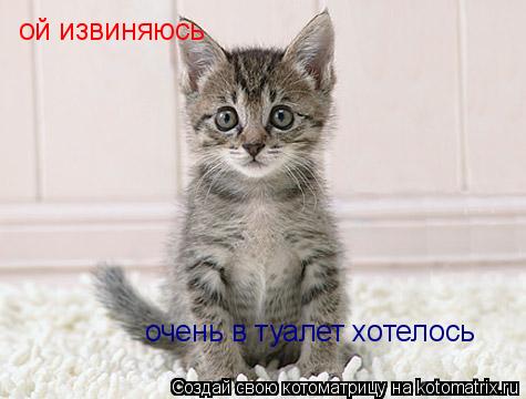 ой извиняюсь очень в туалет хотелось... Котоматрица: ой извиняюсь очень в туалет хотелось