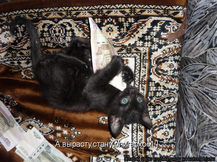 А вырасту,стану олигархом!!!... Котоматрица: А вырасту,стану олигархом!!!