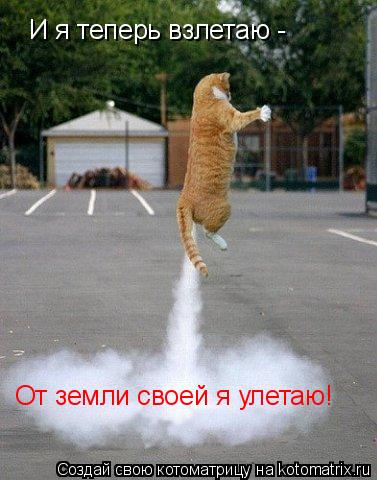 И я теперь взлетаю - От земли своей я улетаю!... Котоматрица: И я теперь взлетаю - От земли своей я улетаю!