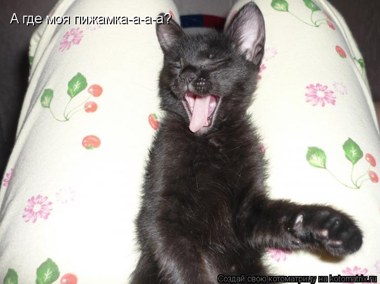 А где моя пижамка-а-а-а?... Котоматрица: А где моя пижамка-а-а-а?