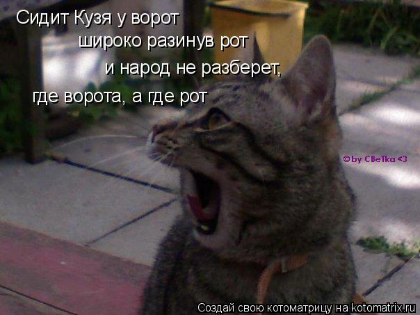 Сидит Кузя у ворот широко разинув рот и народ не разберет, где ворота, а где рот... Котоматрица: Сидит Кузя у ворот широко разинув рот и народ не разберет, где ворота, а где рот