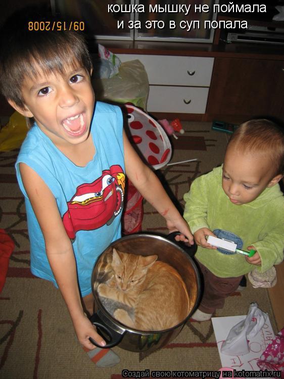 кошка мышку не поймала и за это в суп попала... Котоматрица: кошка мышку не поймала и за это в суп попала