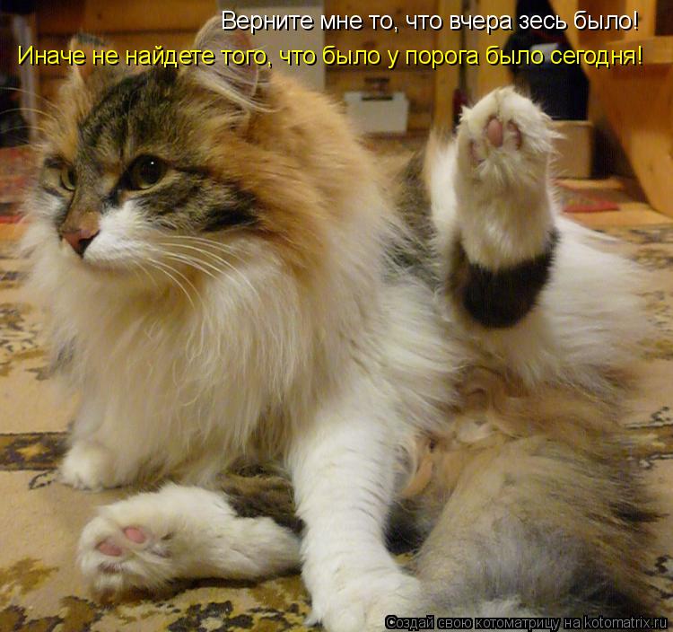 Верните мне то, что вчера зесь было! Иначе не найдете того, что было у порога было сегодня!... Котоматрица: Верните мне то, что вчера зесь было! Иначе не найдете того, что было у порога было сегодня!
