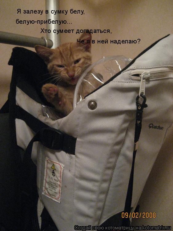 Я залезу в сумку белу, белую-прибелую... Хто сумеет догадаться, Че я в ней наделаю?... Котоматрица: Я залезу в сумку белу, белую-прибелую... Хто сумеет догадаться, Че я в ней наделаю?