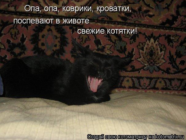 Опа, опа, коврики, кроватки, поспевают в животе свежие котятки!... Котоматрица: Опа, опа, коврики, кроватки, поспевают в животе свежие котятки!