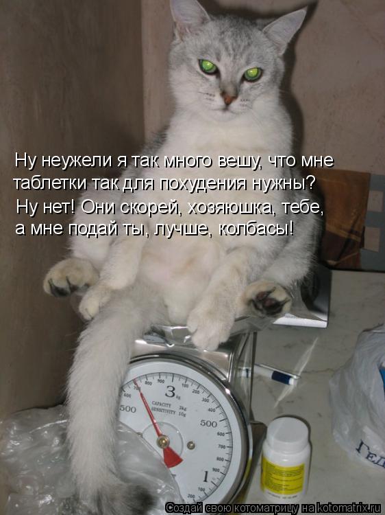 Ну нет! Они скорей, хозяюшка, тебе, а мне подай ты, лучше, колбасы! Ну неужели я так много вешу, что ... Котоматрица: Ну нет! Они скорей, хозяюшка, тебе, а мне подай ты, лучше, колбасы! Ну неужели я так много вешу, что мне таблетки так для похудения нужны?
