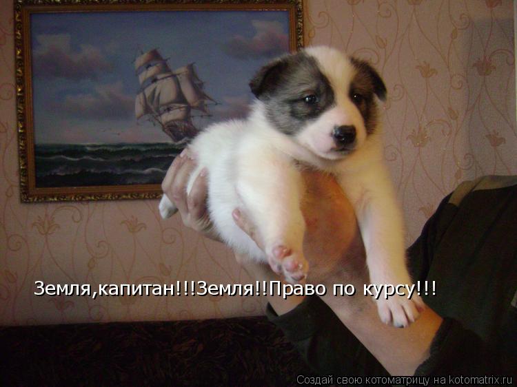 Земля,капитан!!!Земля!!Право по курсу!!!... Котоматрица: Земля,капитан!!!Земля!!Право по курсу!!!