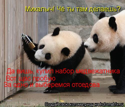 Михалыч! Чё ты там делаешь? Да вишь, купил набор медвежатника Вот щас пробую За одно и выберемся отсе... Котоматрица: Михалыч! Чё ты там делаешь? Да вишь, купил набор медвежатника Вот щас пробую За одно и выберемся отседова