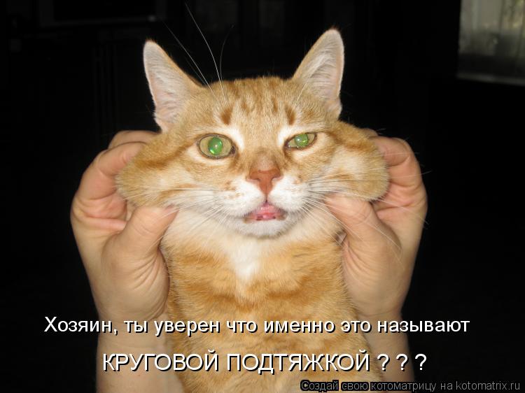 Хозяин, ты уверен что именно это называют КРУГОВОЙ ПОДТЯЖКОЙ ? ? ?... Котоматрица: Хозяин, ты уверен что именно это называют КРУГОВОЙ ПОДТЯЖКОЙ ? ? ?