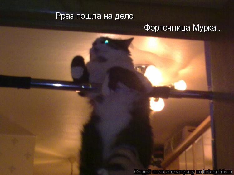 Котоматрица: Рраз пошла на дело Форточница Мурка...
