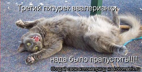 Котоматрица: Третий пизурек ввалерианки  нада было прапустить!!!!