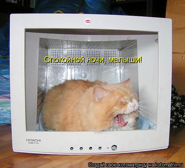 Котоматрица: Спокойной ночи, малыши!