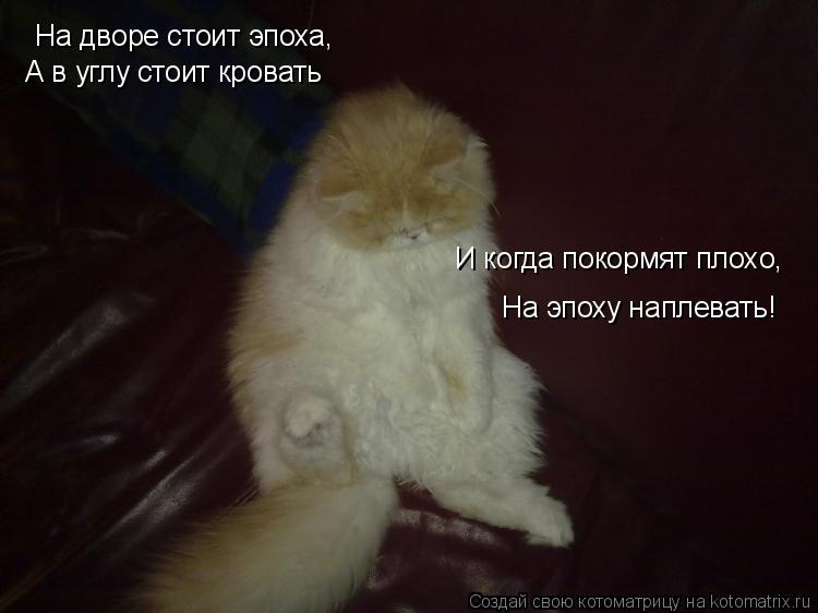 Котоматрица: На дворе стоит эпоха, А в углу стоит кровать И когда покормят плохо, На эпоху наплевать!