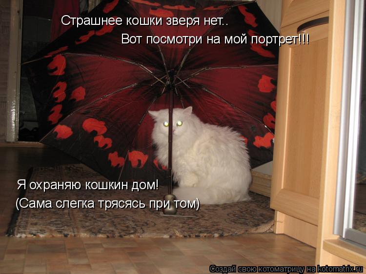 Котоматрица: Страшнее кошки зверя нет.. Вот посмотри на мой портрет!!! Я охраняю кошкин дом! (Сама слегка трясясь при том)