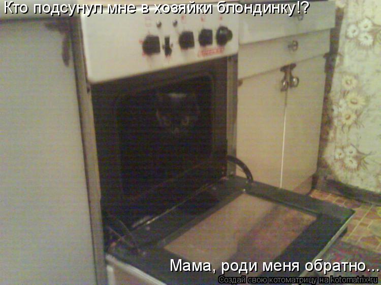Котоматрица: Кто подсунул мне в хозяйки блондинку!? Мама, роди меня обратно...