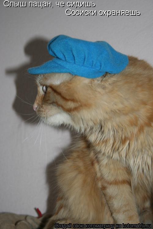 Котоматрица: Слыш пацан, че сидишь Сосиски охраняешь