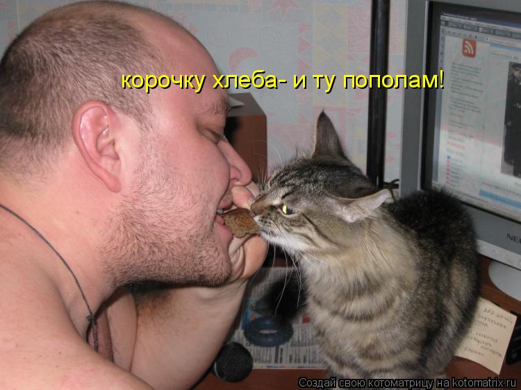 Котоматрица: корочку хлеба- и ту пополам!