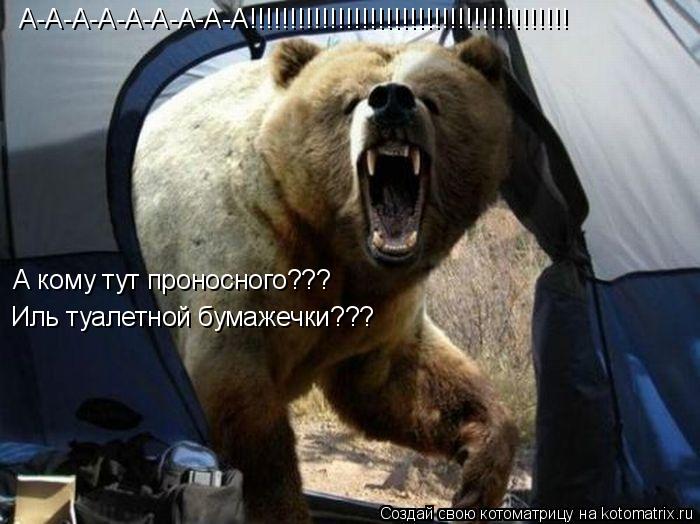 Котоматрица: А-А-А-А-А-А-А-А-А!!!!!!!!!!!!!!!!!!!!!!!!!!!!!!!!!!!!!!!! А кому тут проносного??? Иль туалетной бумажечки???