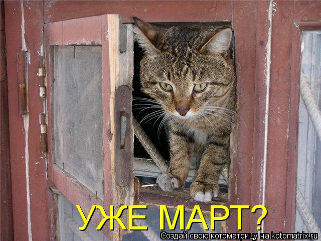 Котоматрица: УЖЕ МАРТ?