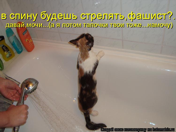 Котоматрица: в спину будешь стрелять,фашист?.. давай,мочи...(а я потом тапочки твои тоже...намочу)