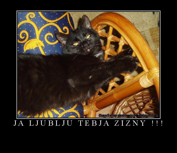 Котоматрица: Ja ljublju tebja zizny !!! 