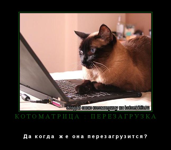Котоматрица: КОТОматрица : перезагрузка Д а   к о г д а    ж  е   о н а   п е р е з а г р у з и т с я ?