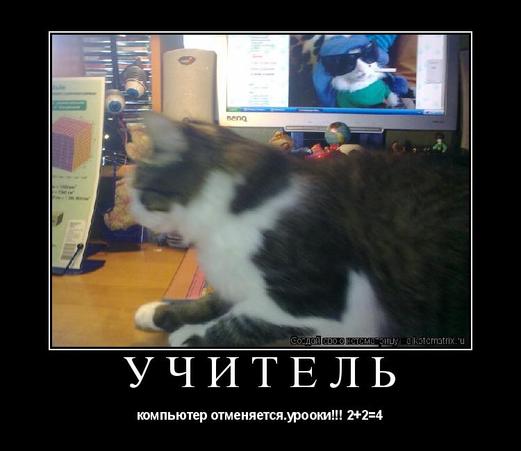 Котоматрица: учитель компьютер отменяется.урооки!!! 2+2=4