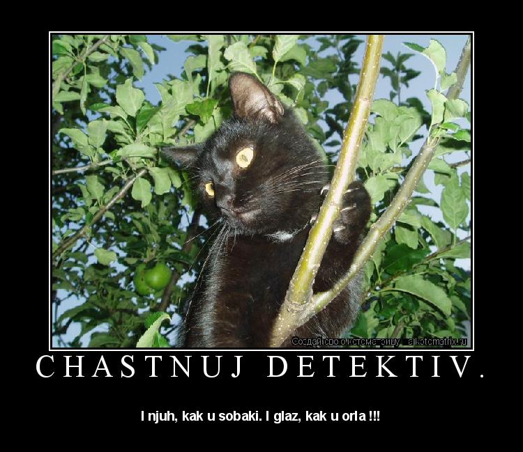 Котоматрица: Chastnuj detektiv. I njuh, kak u sobaki. I glaz, kak u orla !!!