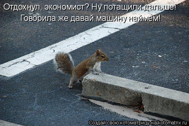 Говорила же давай машину наймём! Отдохнул, экономист? Ну потащили дальше!... Котоматрица: Говорила же давай машину наймём! Отдохнул, экономист? Ну потащили дальше!