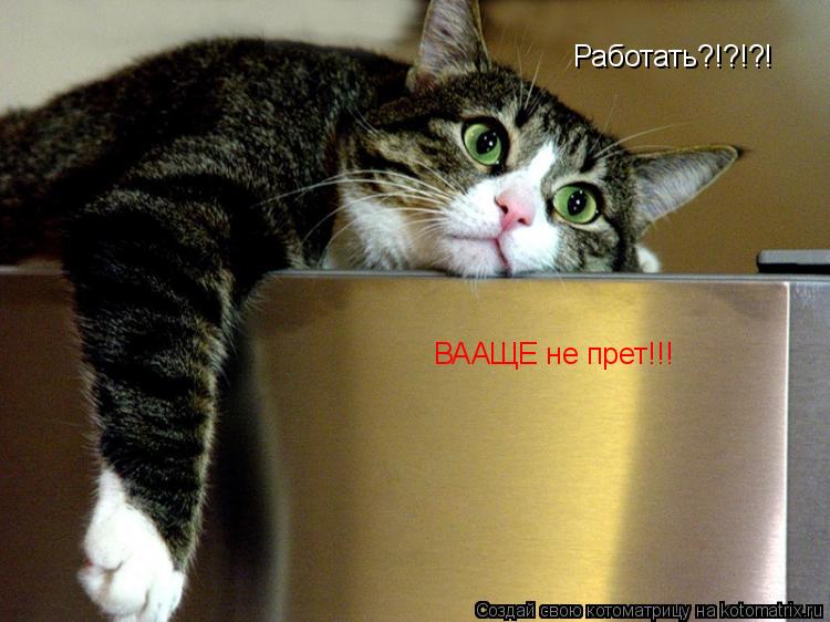 Котоматрица: Работать?!?!?! ВААЩЕ не прет!!!