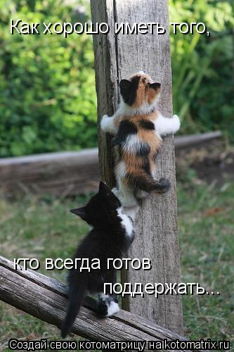 Котоматрица: Как хорошо иметь того, кто всегда готов поддержать...