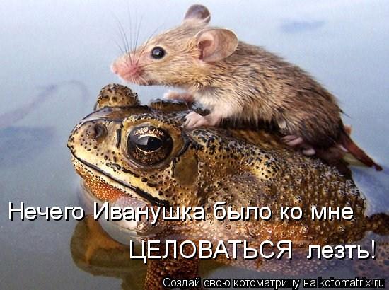 Нечего Иванушка было ко мне ЦЕЛОВАТЬСЯ лезть!... Котоматрица: Нечего Иванушка было ко мне ЦЕЛОВАТЬСЯ лезть!