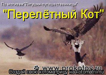 Котоматрица: По мотивам"Лягушки-путешественницы" "Перелётный Кот"