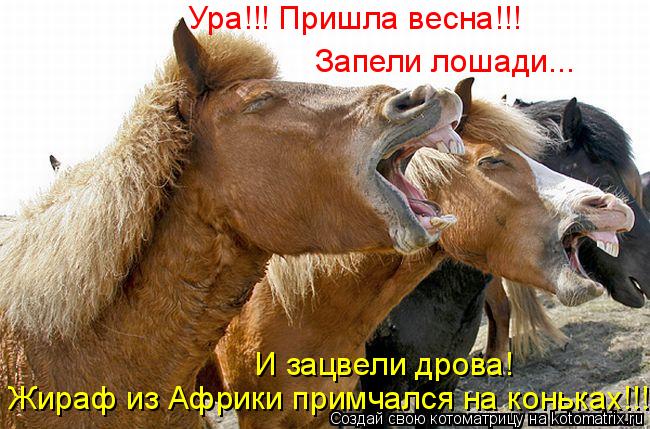 Котоматрица: Ура!!! Пришла весна!!! Запели лошади... И зацвели дрова! Жираф из Африки примчался на коньках!!!